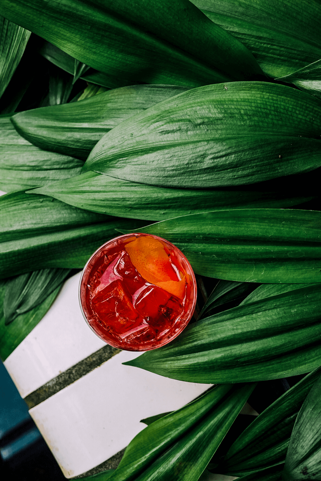 Ein Glas mit rotem Getränk und Eiswürfeln, umgeben von üppigen grünen Blättern, strahlt eine erfrischende Atmosphäre aus.